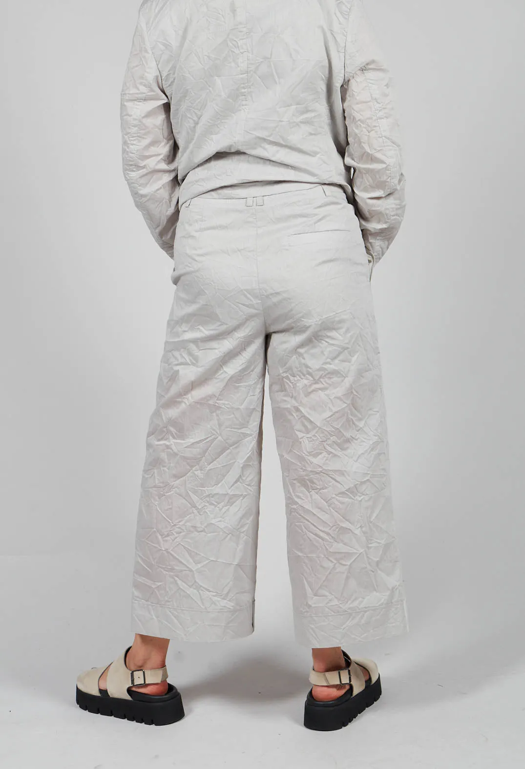 Delta Trouser In Birch